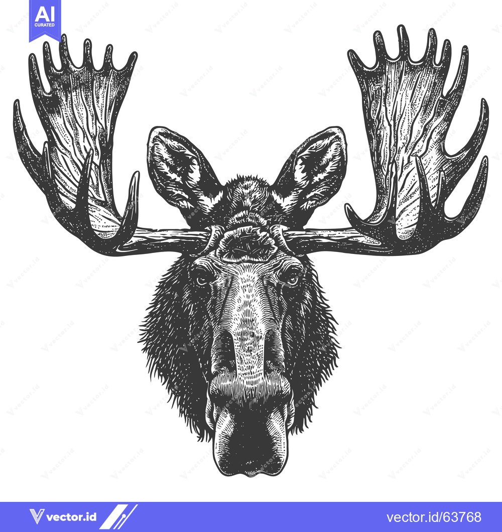 Premium Vector of A detailed black and white illustration of a large moose head