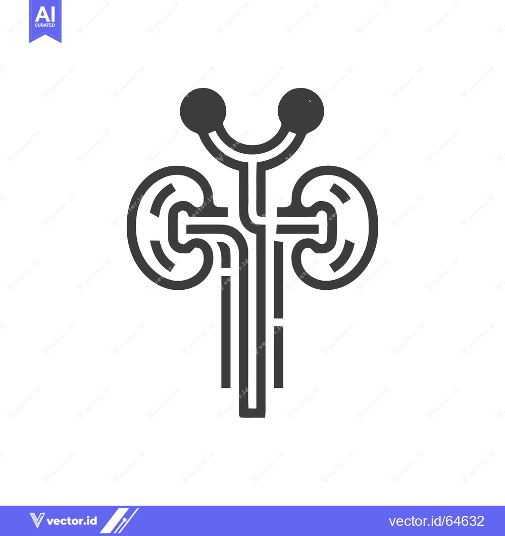 Premium Vector dari Stylized Human Urinary System Icon: Kidneys, Ureters, Bladder, Adrenal