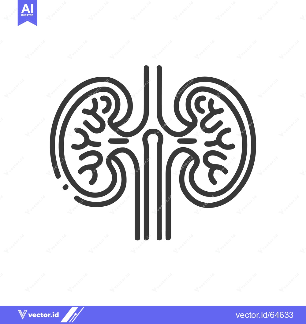 Premium Vector of Minimalist Kidney Icon: Anatomical Illustration in Black and White Lin