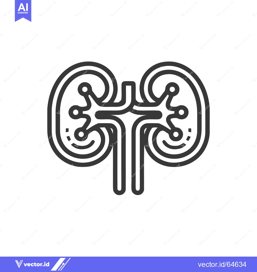Premium Vector of Minimalist Kidney Icon: Human Organ Anatomy, Medical Symbol, Line Art