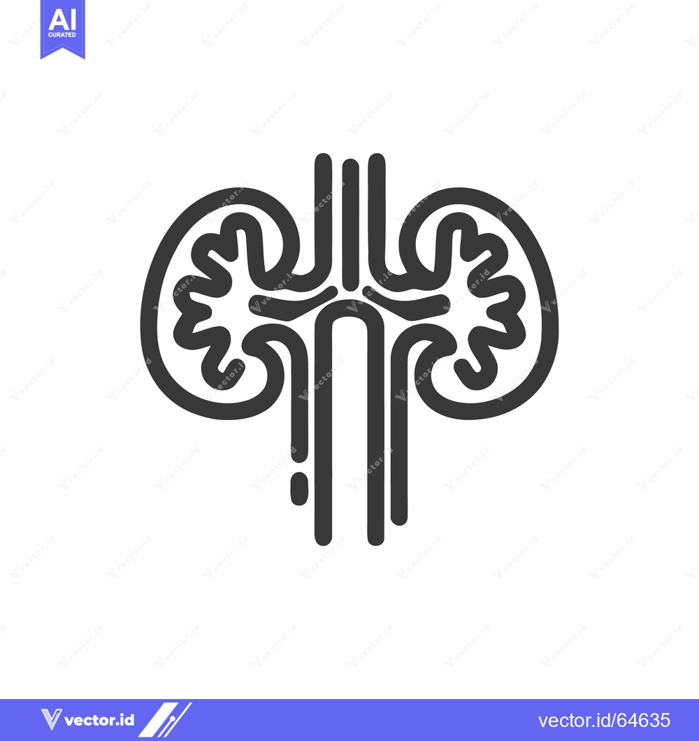 Premium Vector dari Minimalist Kidney Icon: Anatomical Outline Illustration on White Backg