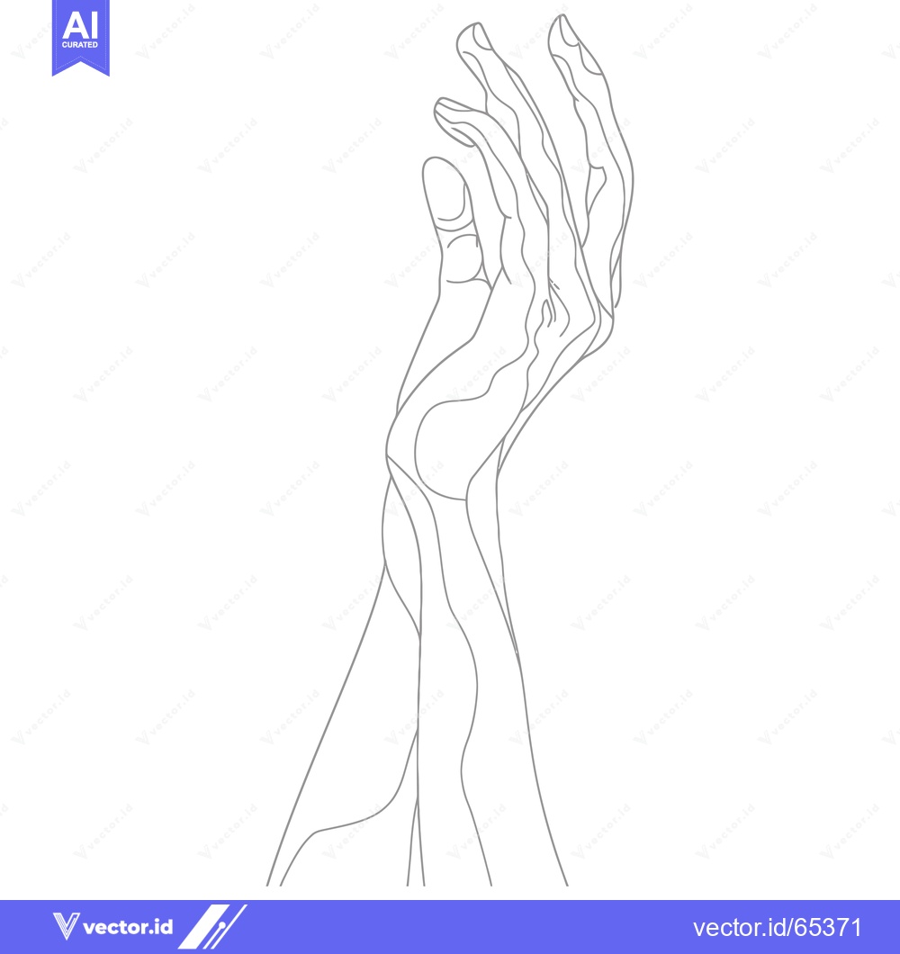 Premium Vector dari Line Drawing of a Human Hand Reaching Upwards