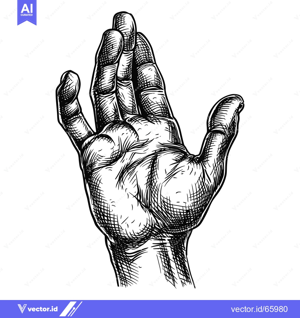 Premium Vector dari Detailed Hand Reaching Upward in Hand-Drawn Style