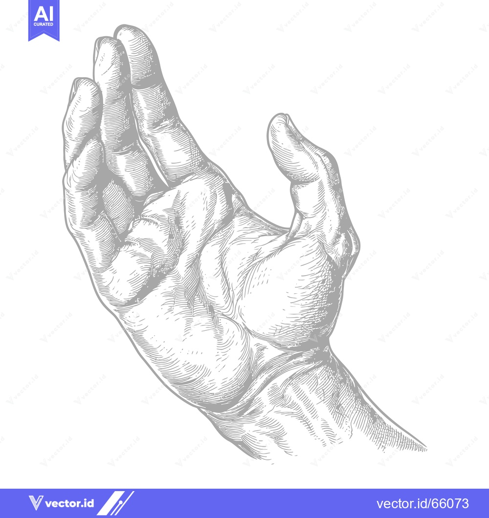 Premium Vector dari A Detailed Hand Drawing in Grey Tones