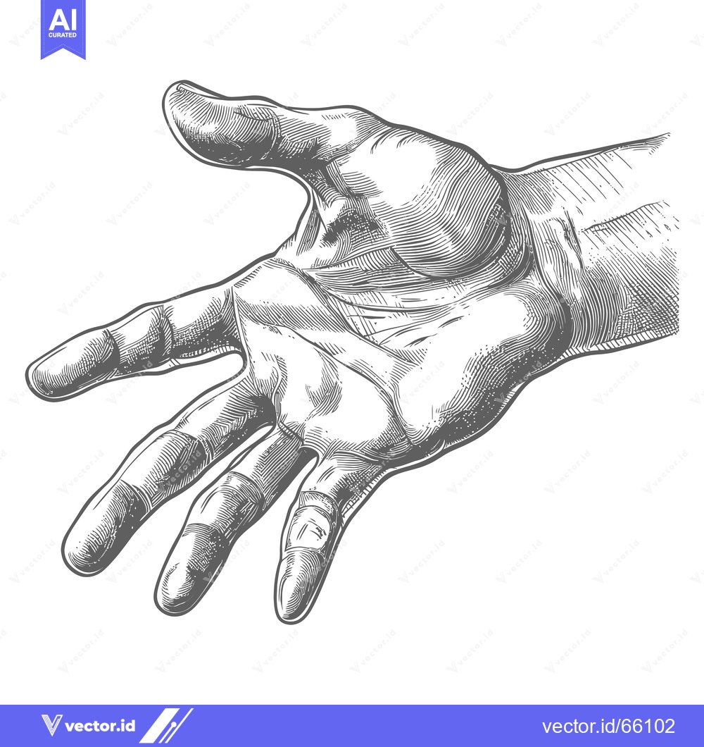 Premium Vector of Hand with open palm reaching out, detailed line drawing