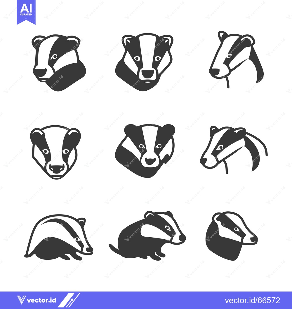 Premium Vector of Nine Black and White Badger Illustrations in Various Poses