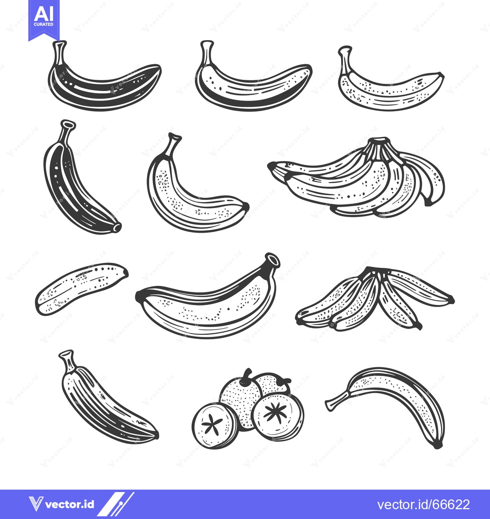 Premium Vector of Hand-Drawn Sketches of Bananas in Various Stages of Ripeness