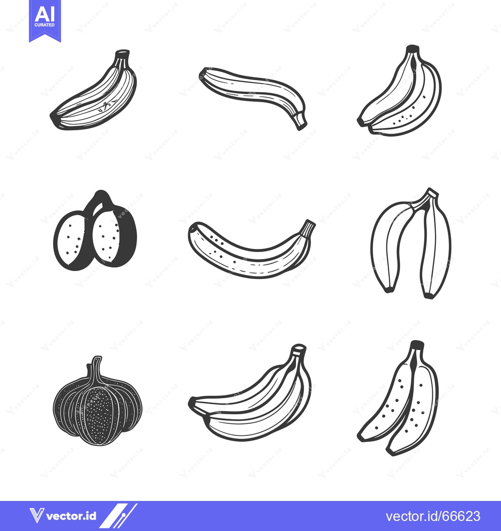 Premium Vector of Hand-drawn illustrations of bananas and garlic