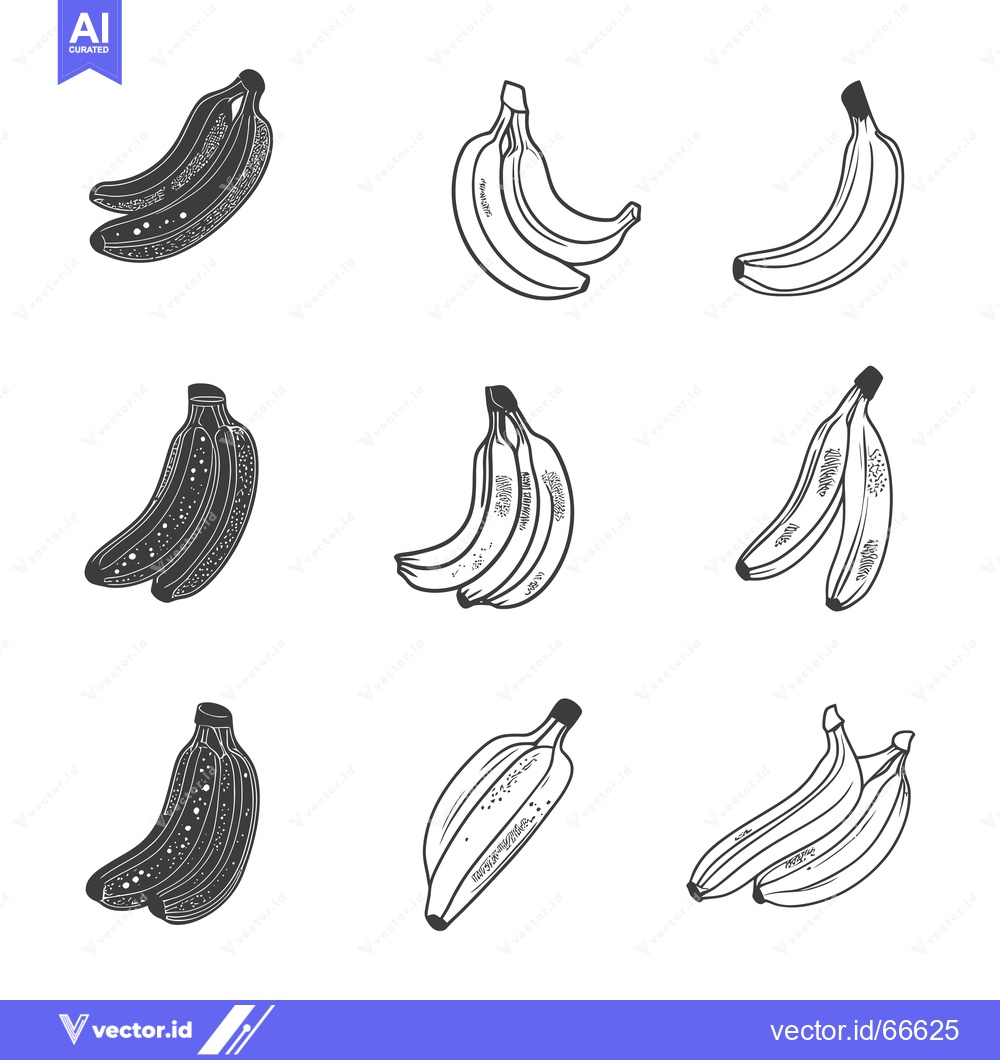 Premium Vector dari A Set of Hand-Drawn Black and White Banana Illustrations