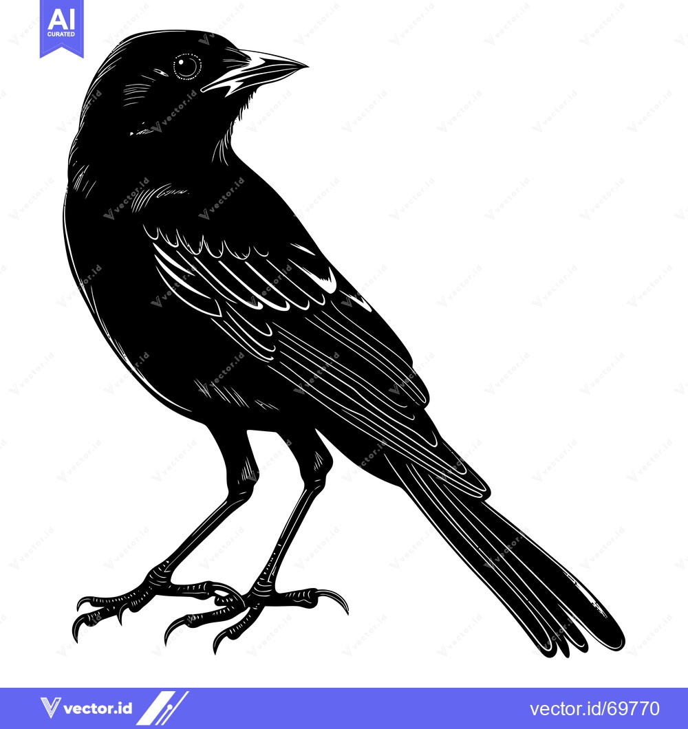 Premium Vector dari Black and White Silhouette of a Bird with Sharp Talons