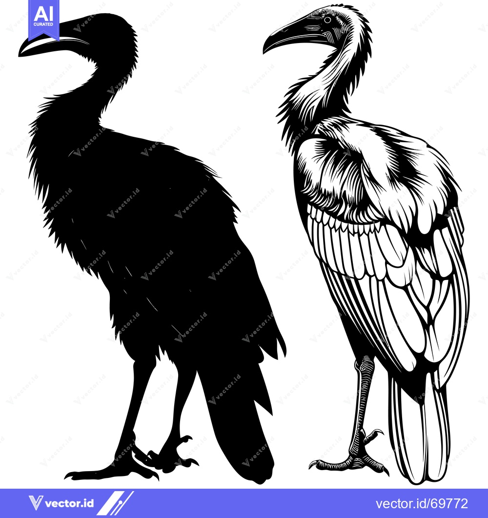 Premium Vector dari Silhouette and Detailed Illustration of a Vulture