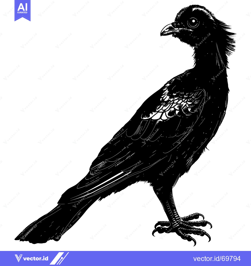 Premium Vector dari Black and White Illustration of a Bird with Sharp Talons