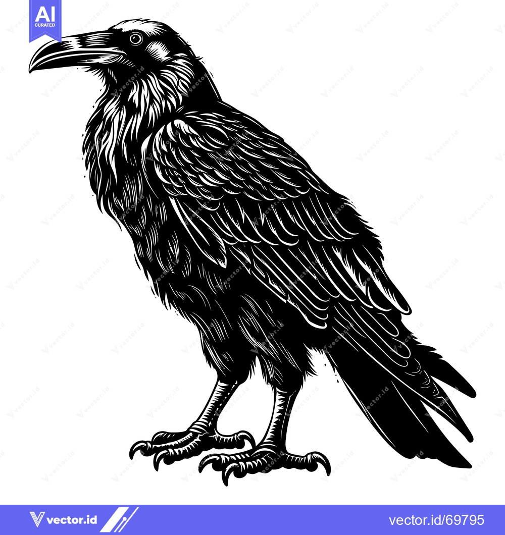 Premium Vector of Black and White Illustration of a Raven with Detailed Feathers