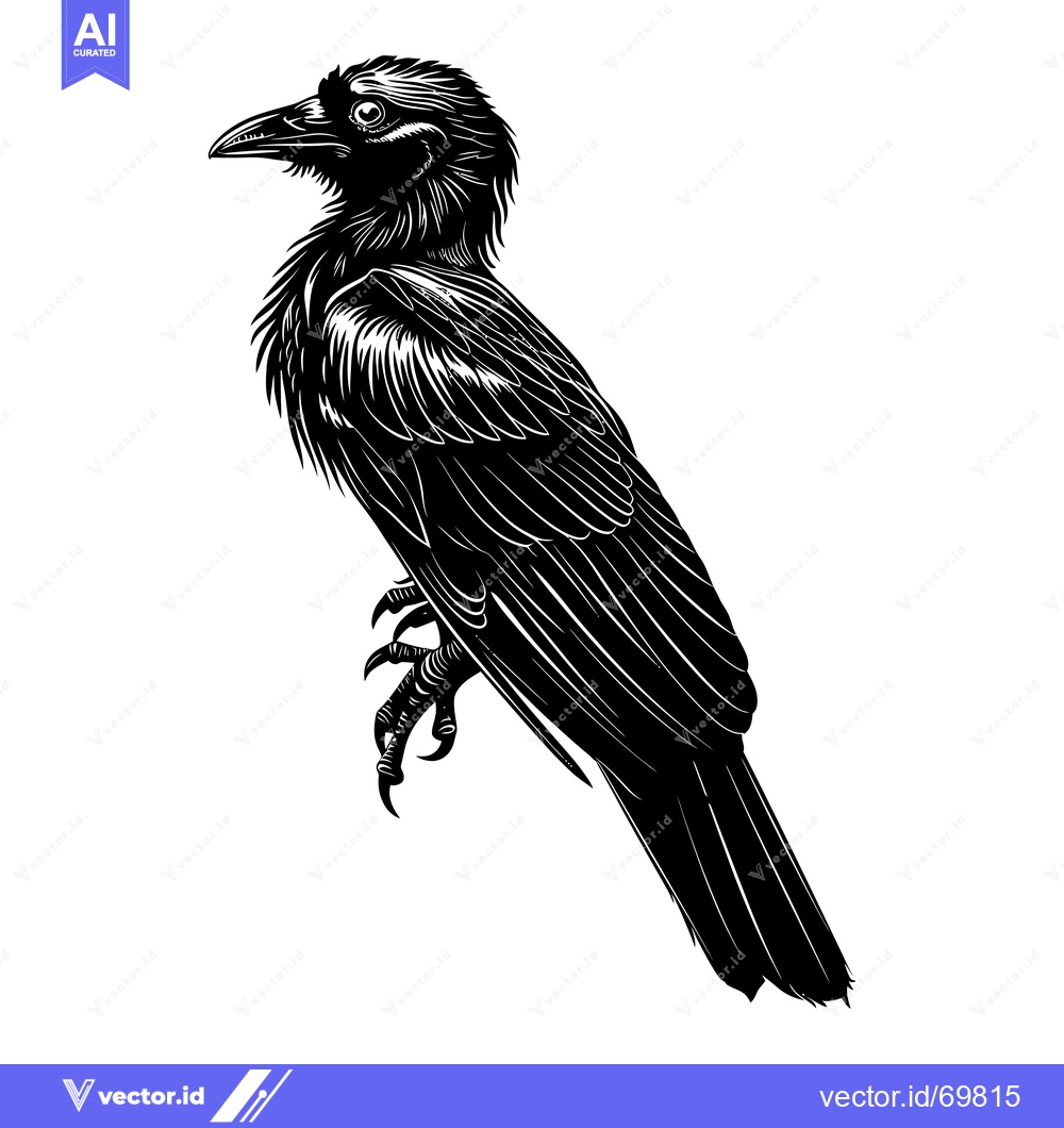 Premium Vector dari A Black and White Silhouette of a Raven Perched with One Claw Extended