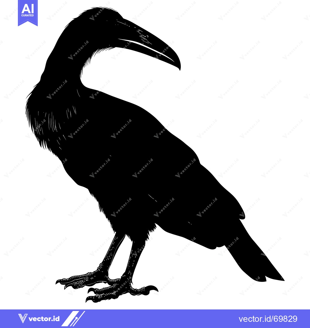 Premium Vector of Black and White Silhouette of a Bird with a Long Beak