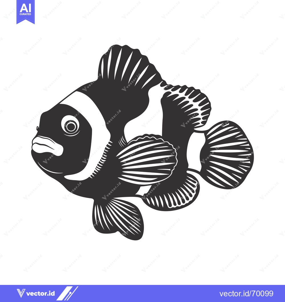 Premium Vector of Black and White Illustration of a Clownfish with Detailed Fin Patterns