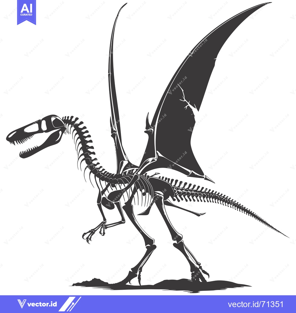 Premium Vector of Skeletal Remains of a Pterodactyl with Wings Outstretched