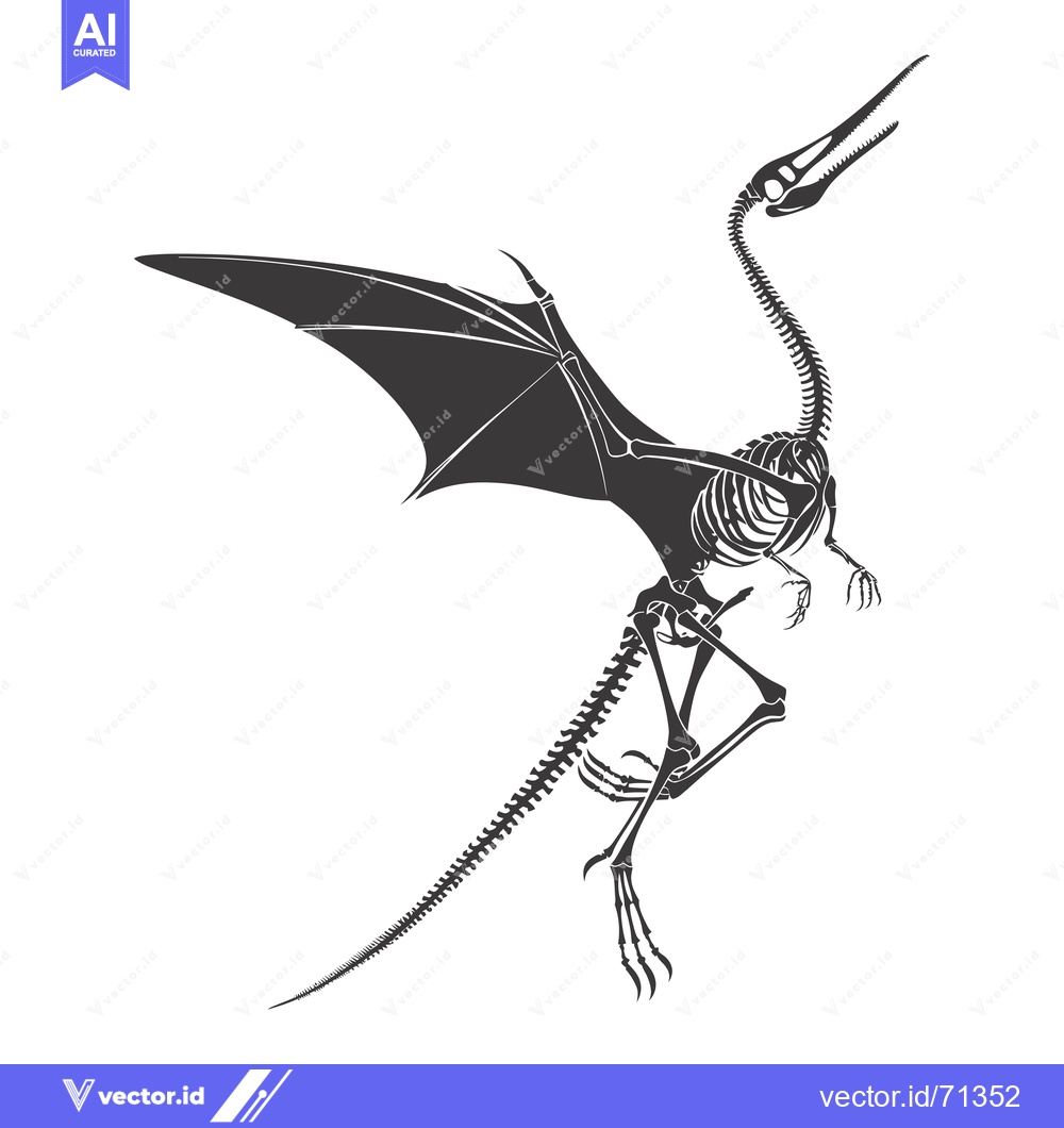 Premium Vector of Skeletal Illustration of a Flying Pterodactyl Dinosaur