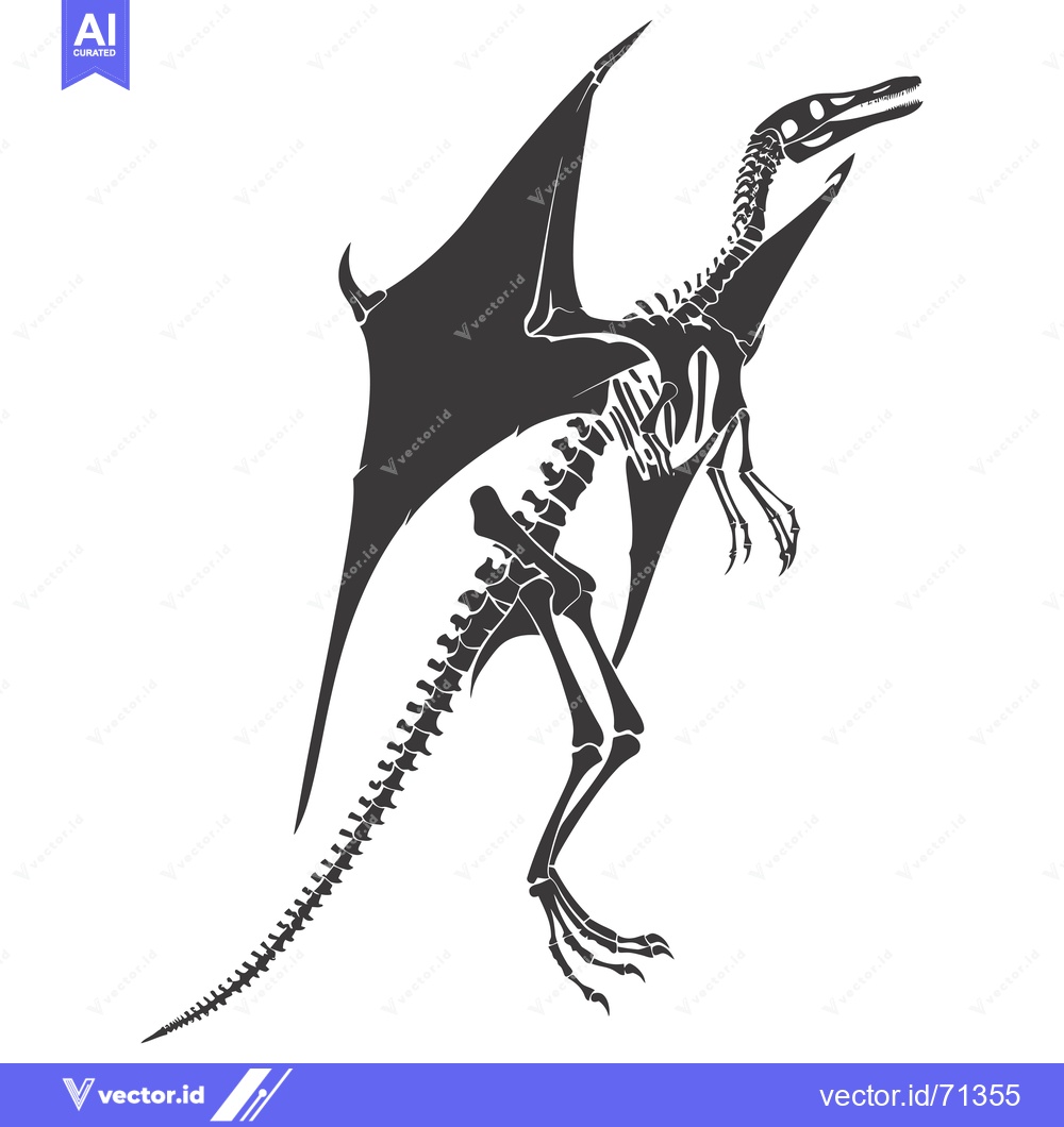 Premium Vector dari Skeletal Remains of a Pterodactyl with Wings Spread