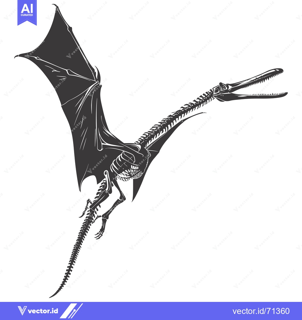 Premium Vector of Skeletal Illustration of a Pterodactyl in Flight