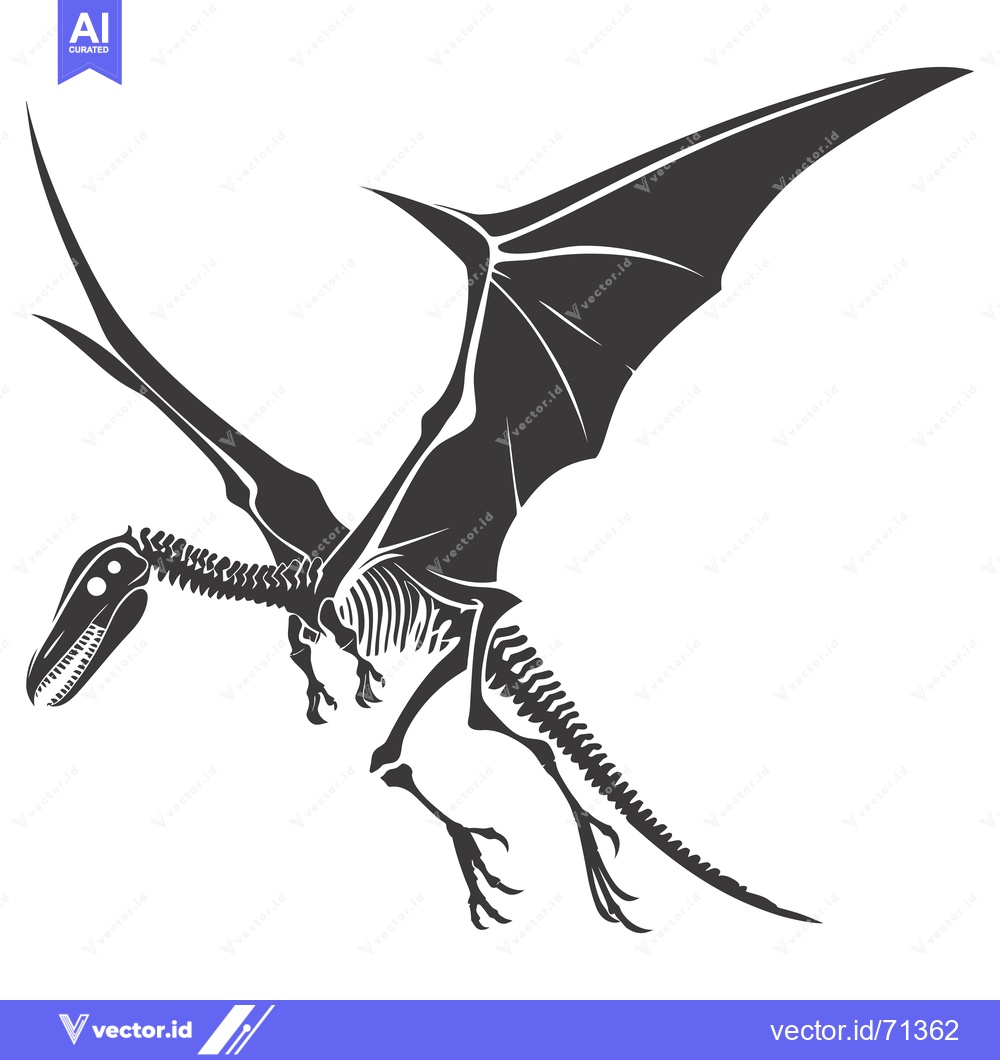 Premium Vector of Skeletal illustration of a pterodactyl in flight