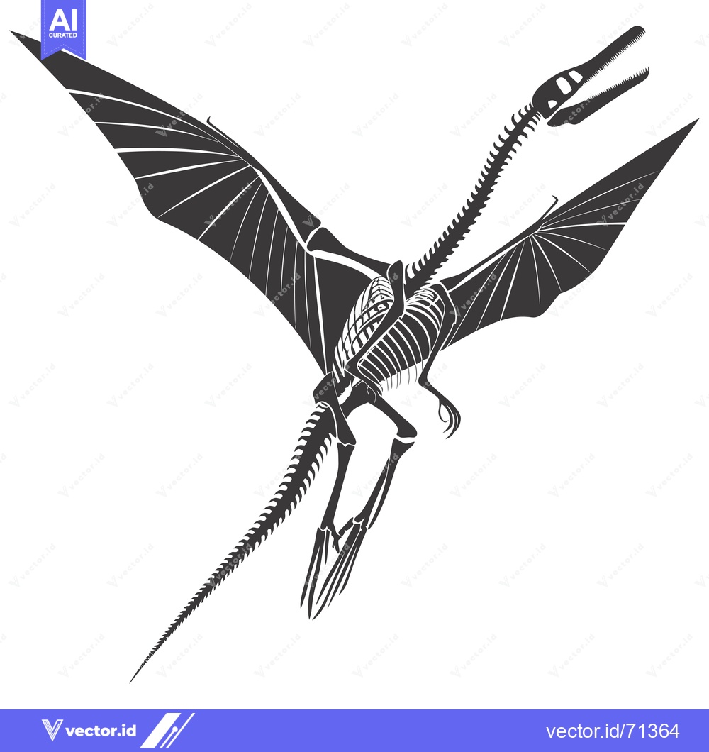 Premium Vector of A Detailed Skeletal Outline of a Flying Pterodactyl Dinosaur