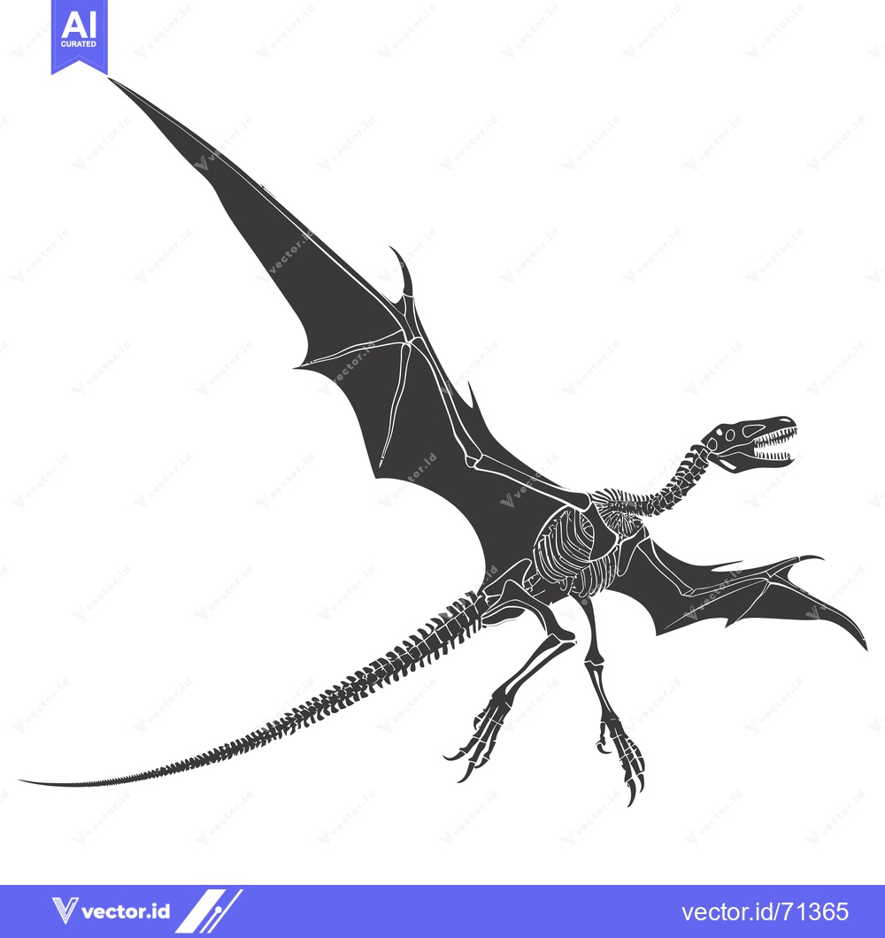 Premium Vector of Skeletal Reconstruction of a Flying Dinosaur with Spread Wings