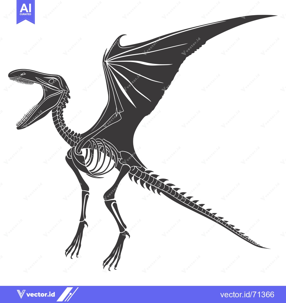 Premium Vector of Skeletal Illustration of a Flying Dinosaur with Open Mouth