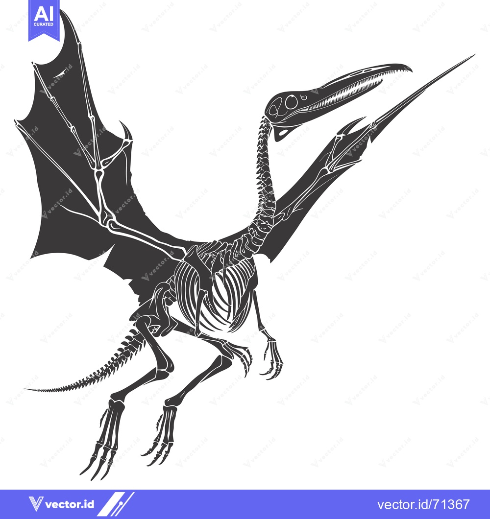 Premium Vector dari Pterodactyl Skeleton with Spread Wings in Flight
