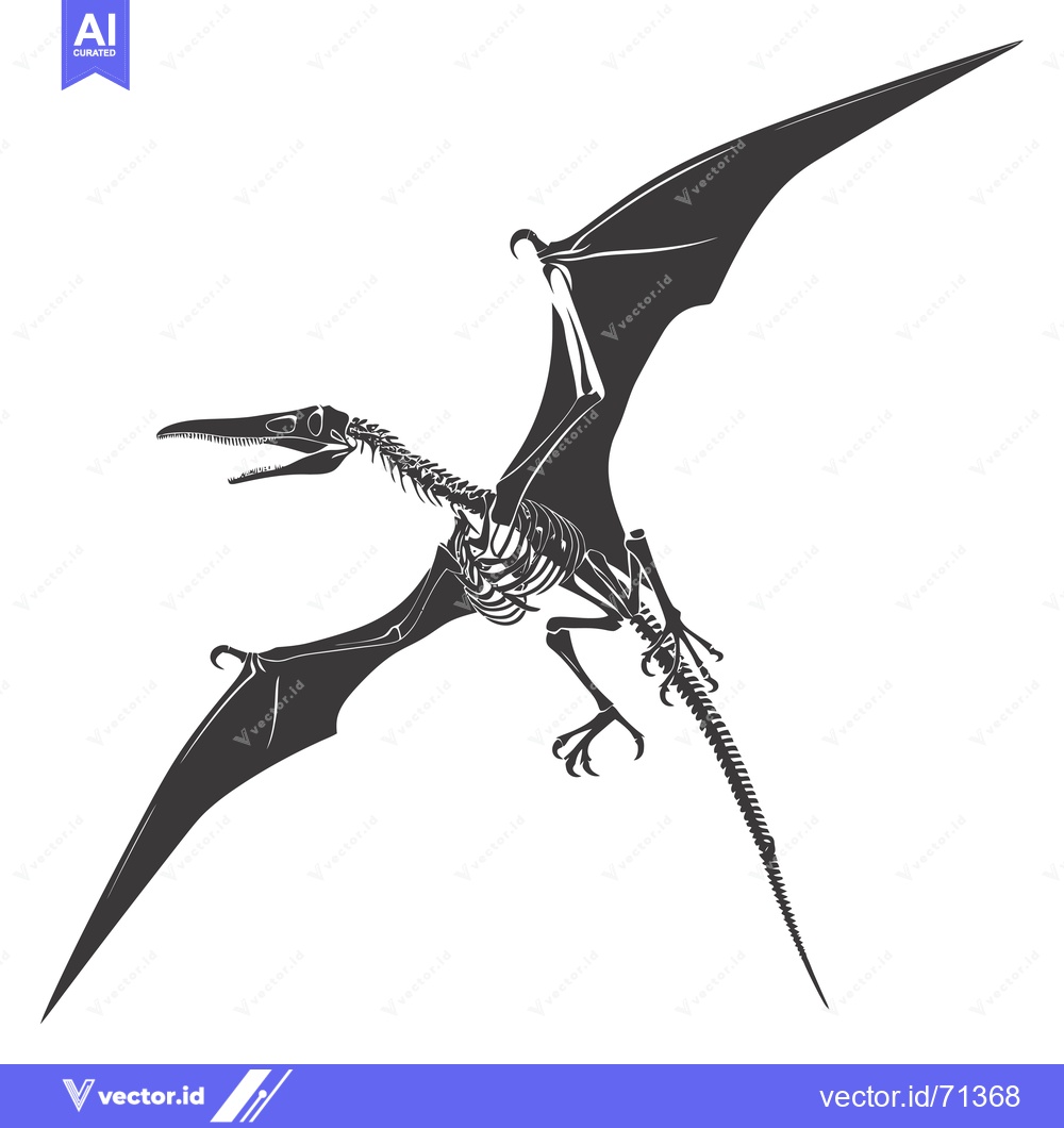 Premium Vector of Pterodactyl Skeleton in Flight with Spread Wings