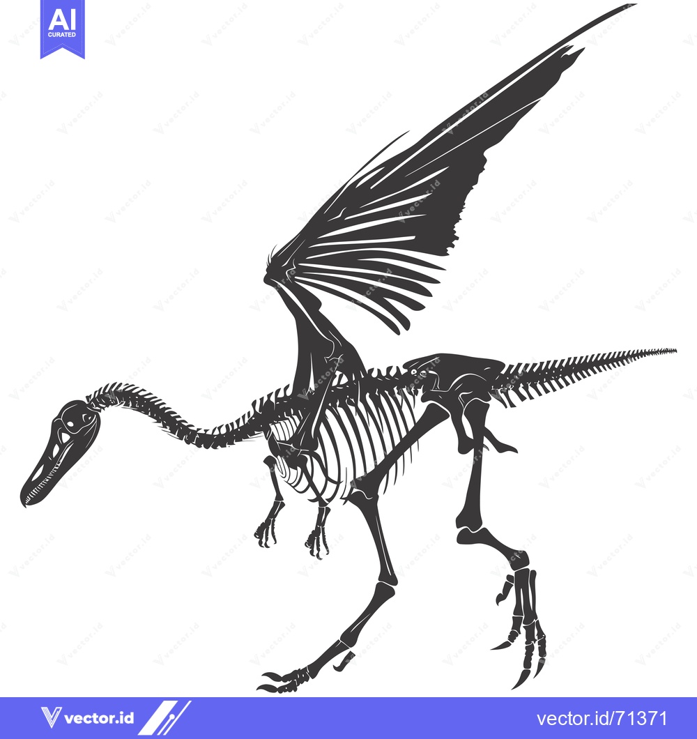 Premium Vector dari Skeleton of a feathered dinosaur with outstretched wings