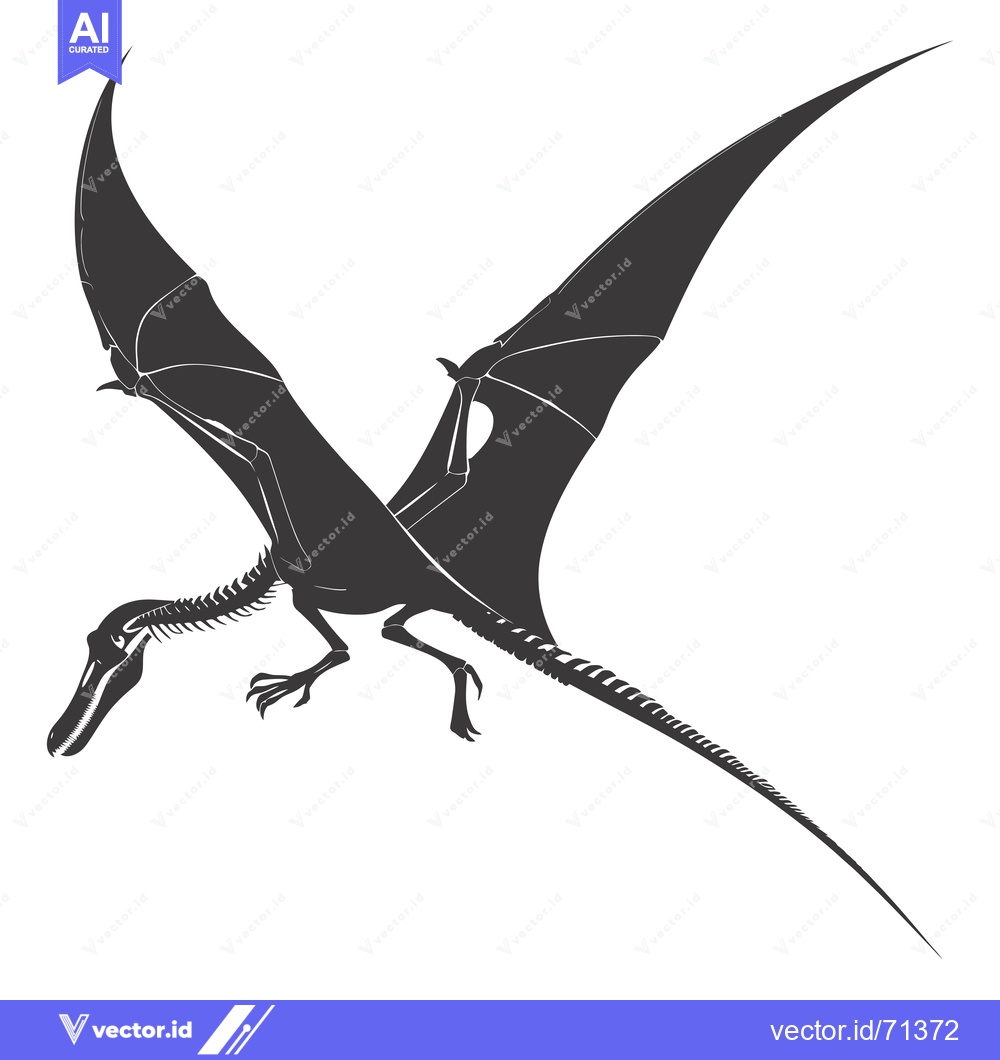 Premium Vector of Black and White Silhouette of a Pterodactyl Flying with Its Bones Visi
