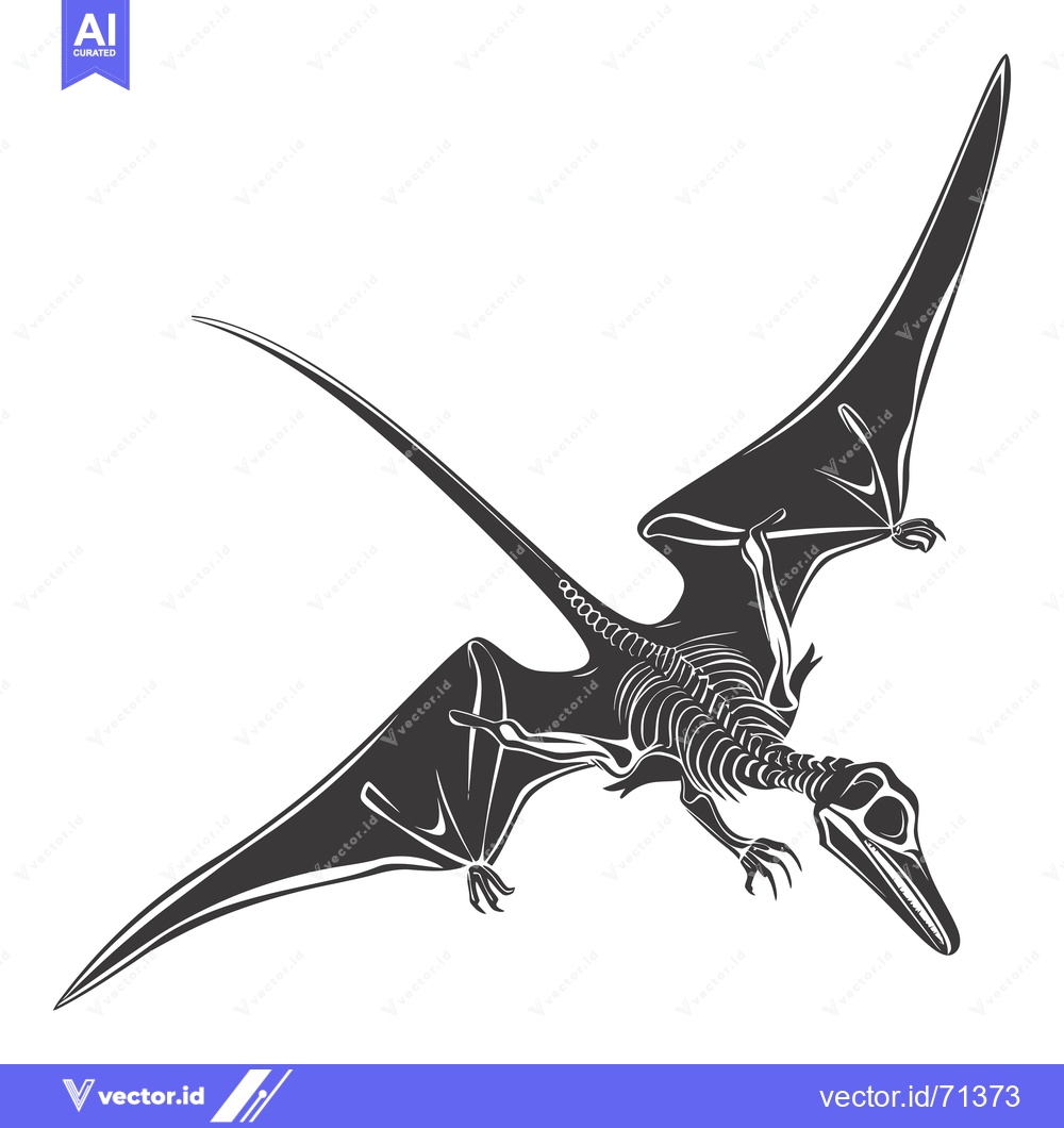 Premium Vector dari Skeletal Drawing of a Pterodactyl in Flight