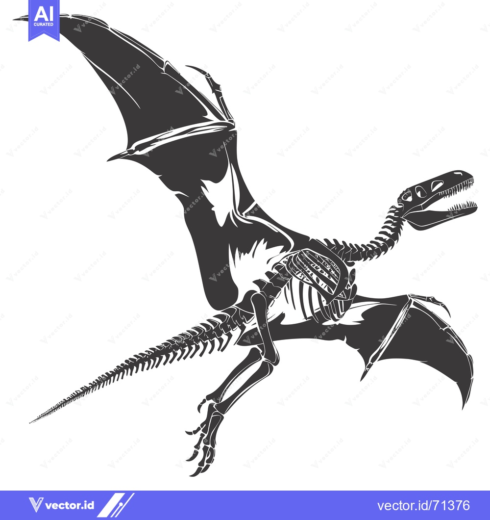 Premium Vector of Skeletal Structure of a Flying Dinosaur with Spread Wings