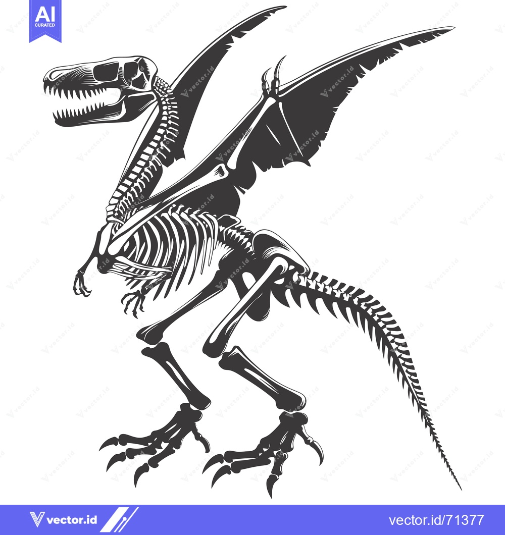 Premium Vector dari Detailed Skeleton of a Winged Dinosaur with Sharp Claws