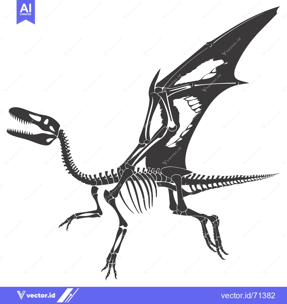 Premium Vector of Skeletal Remains of a Flying Dinosaur with Spread Wings