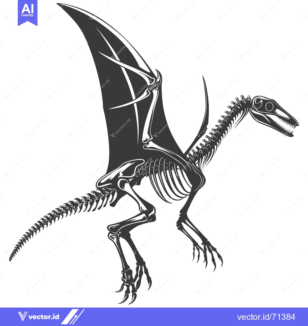 Premium Vector of Skeletal Remains of a Pterodactyl with Spread Wings