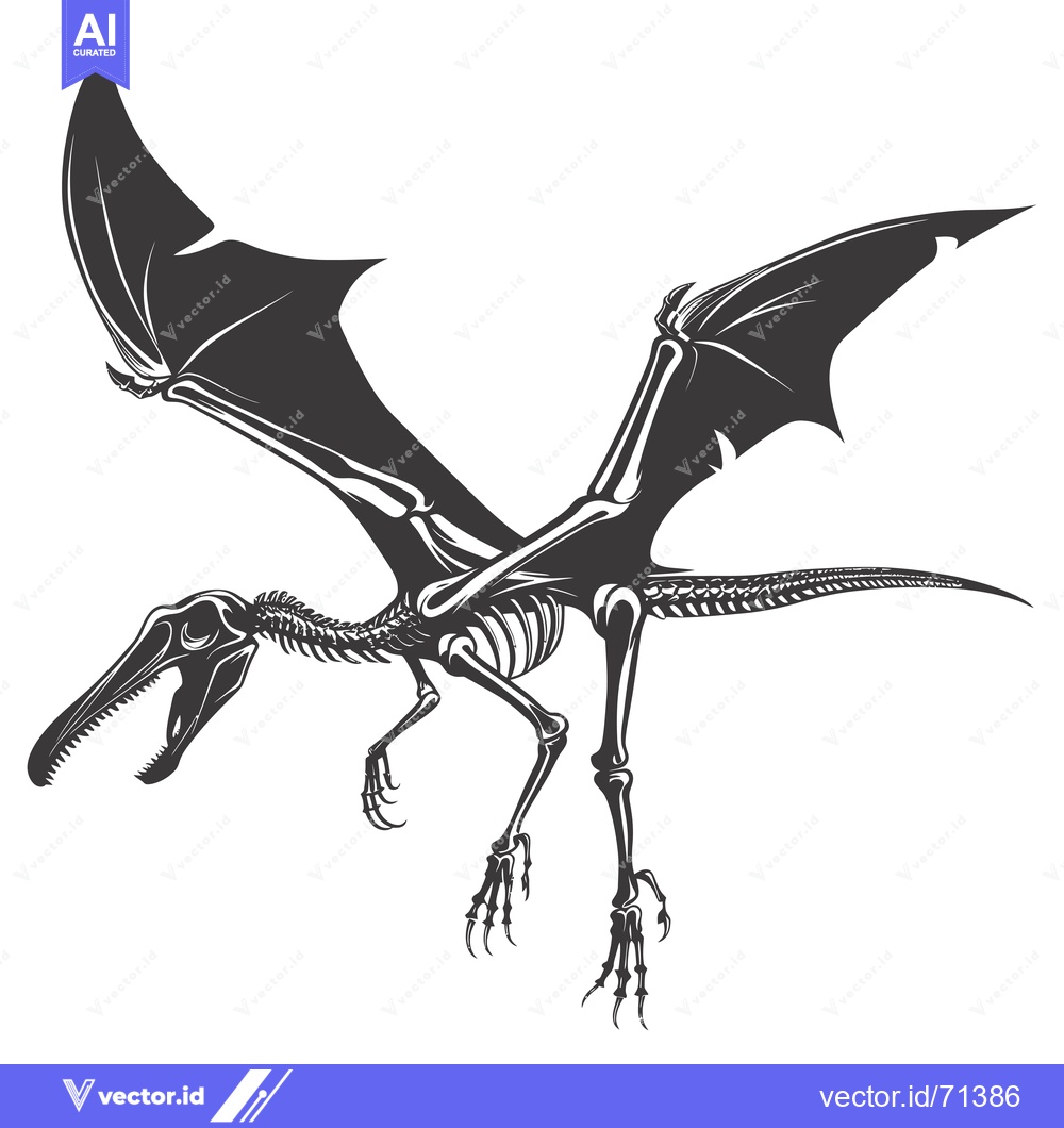 Premium Vector dari Black and white illustration of a pterosaur skeleton with wings outstr