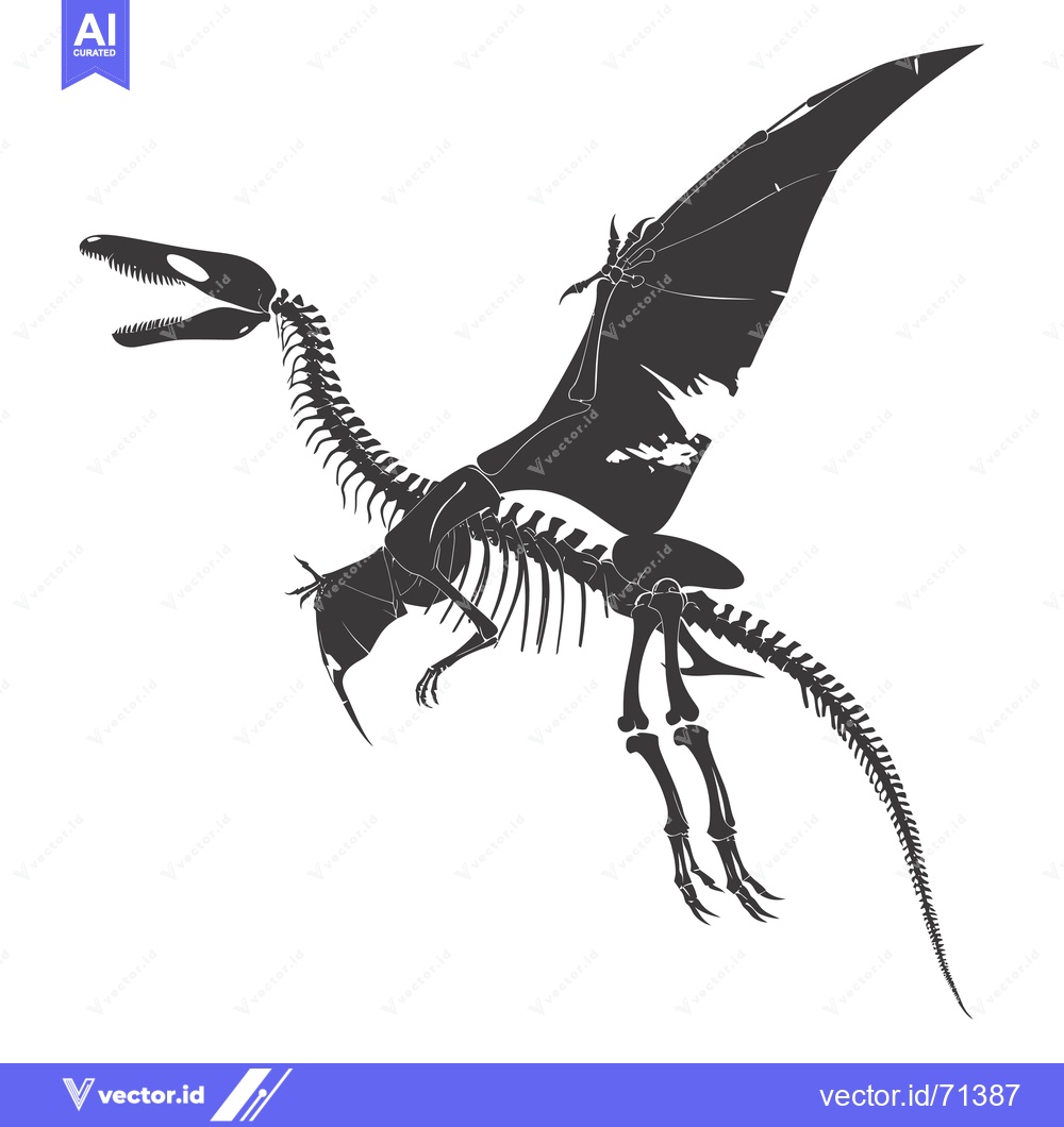 Premium Vector dari Skeletal Remains of a Pterodactyl in Flight