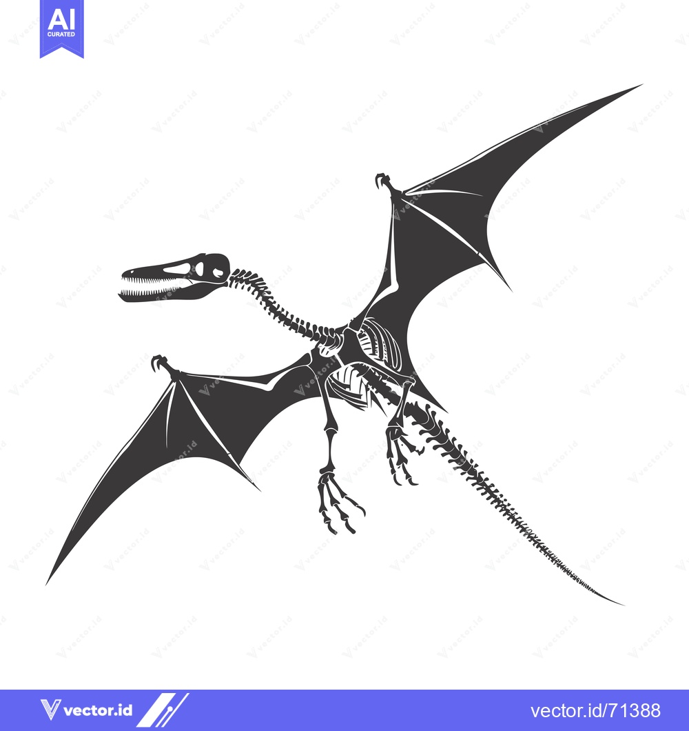 Premium Vector of Skeletal Remains of a Flying Dinosaur with Spread Wings