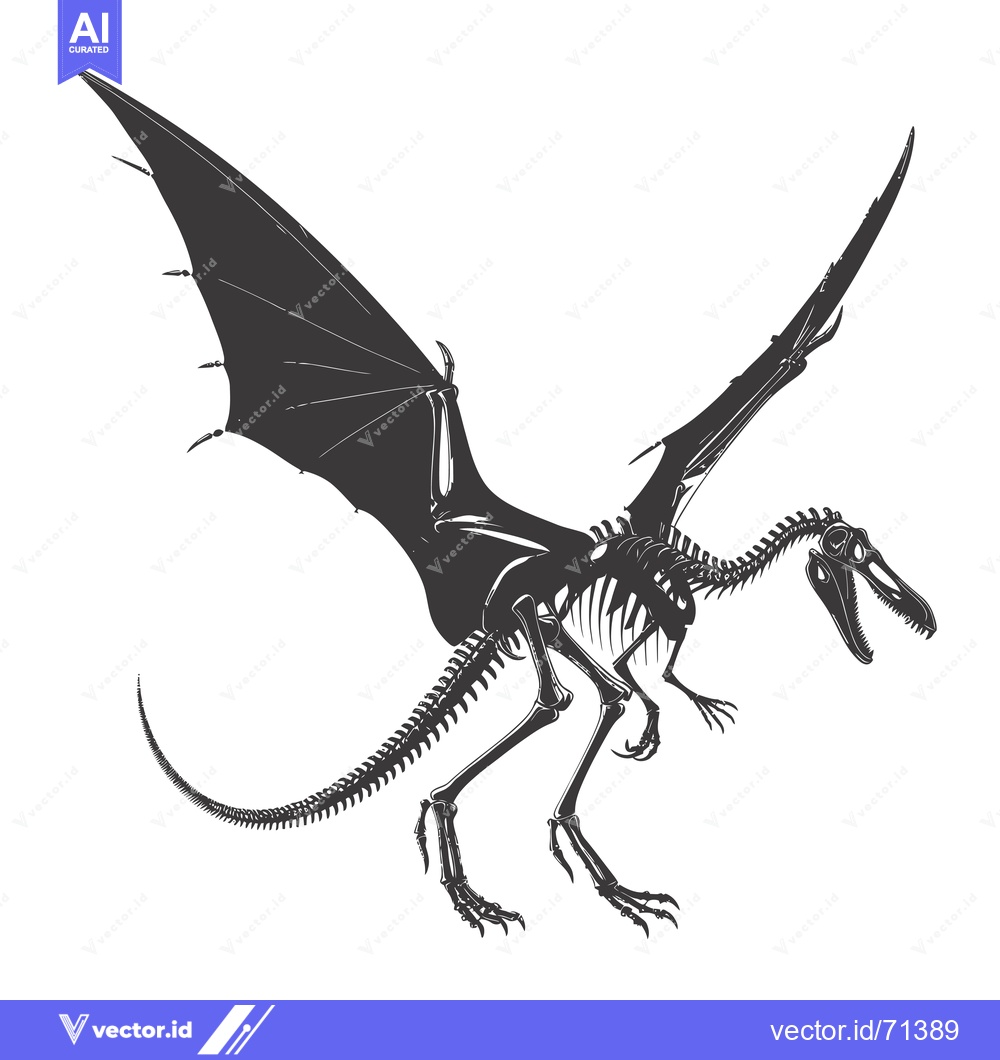 Premium Vector of Skeletal Illustration of a Flying Dinosaur with Spread Wings
