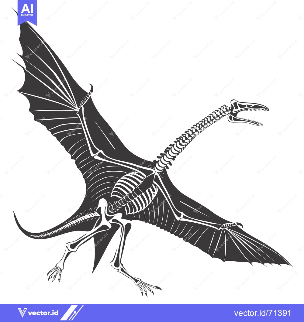 Premium Vector of Skeletal Reconstruction of a Pterodactyl in Flight
