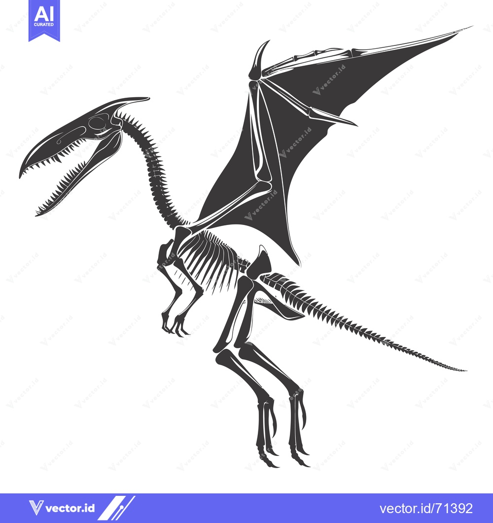 Premium Vector dari Skeletal Reconstruction of a Pterodactyl with Open Mouth and Spread Wi