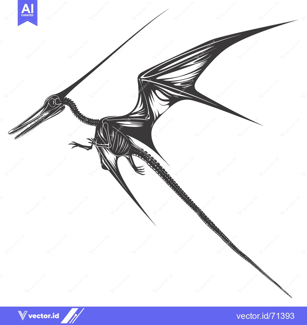 Premium Vector dari Black and White Illustration of a Pterodactyl Skeleton