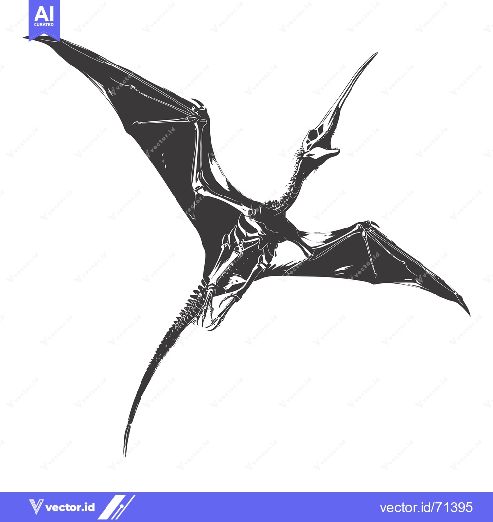 Premium Vector of A skeletal drawing of a pterodactyl in mid-flight