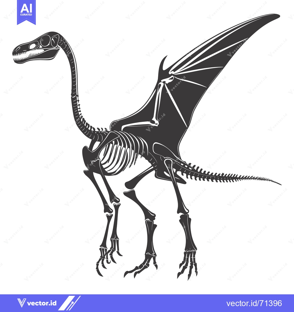 Premium Vector dari Skeleton of a Pterodactyl with Wingspan Extended