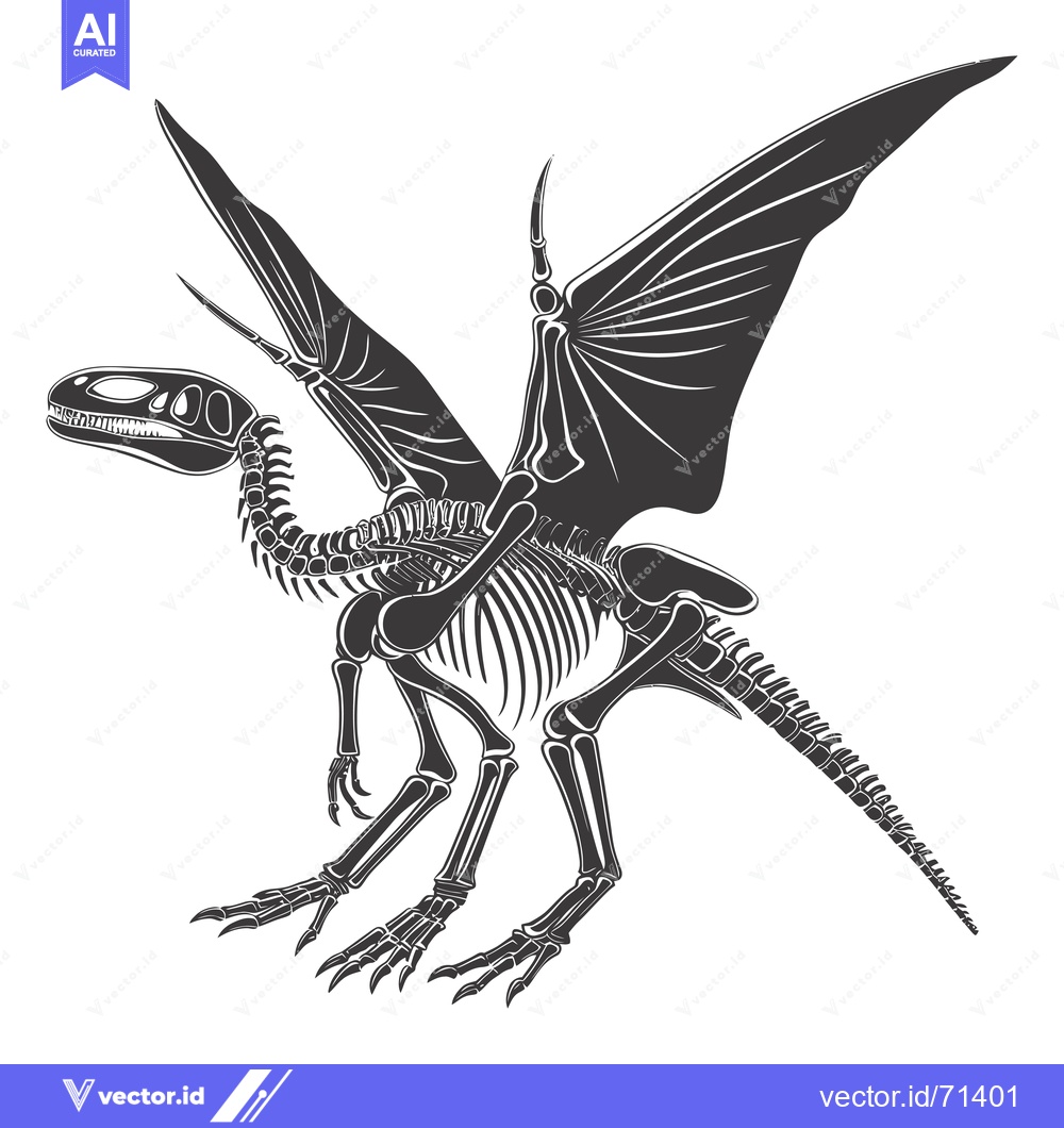 Premium Vector of Detailed Skeleton of a Pterodactyl with Spread Wings
