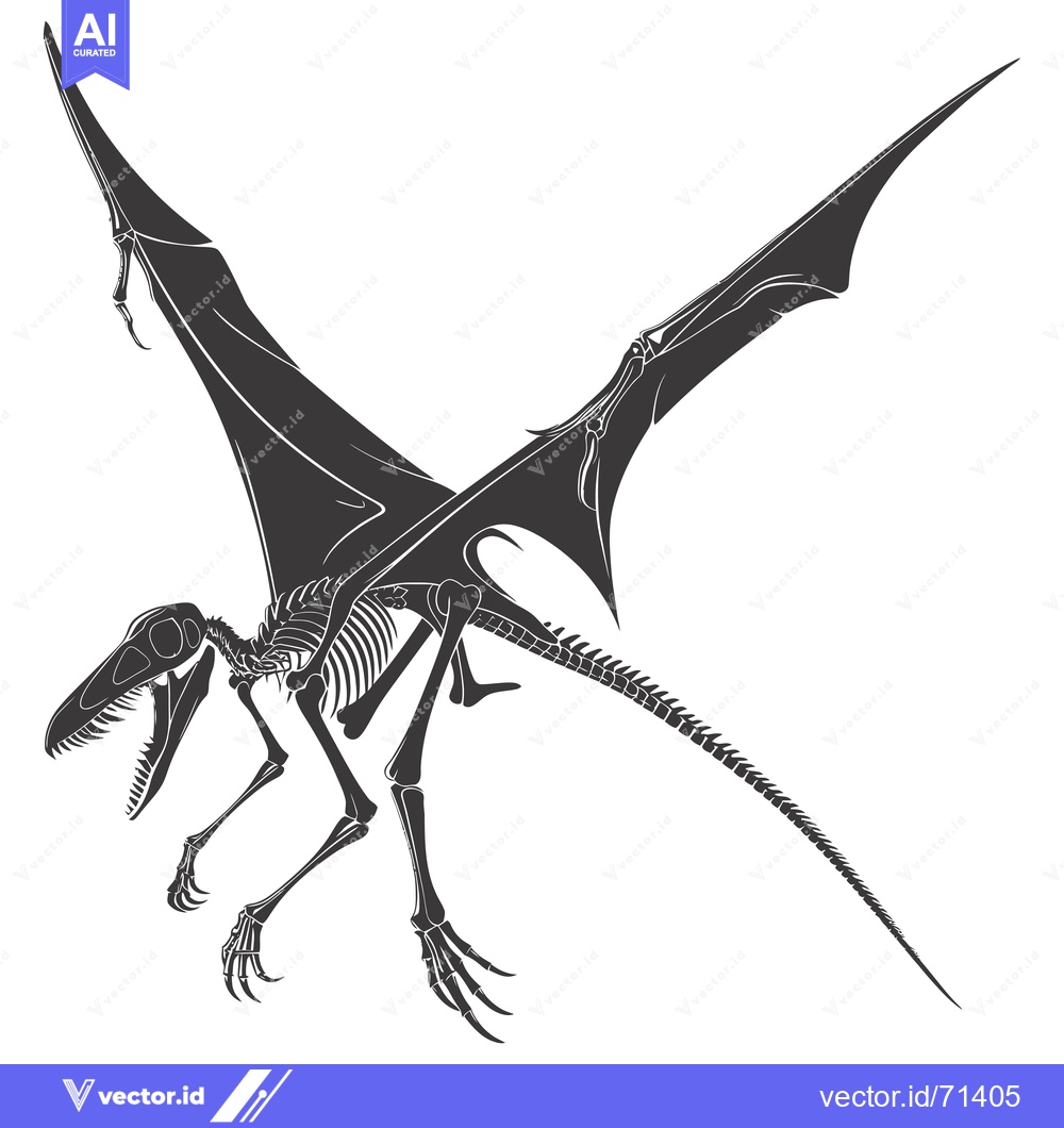 Premium Vector of Skeletal Illustration of a Pterodactyl in Flight
