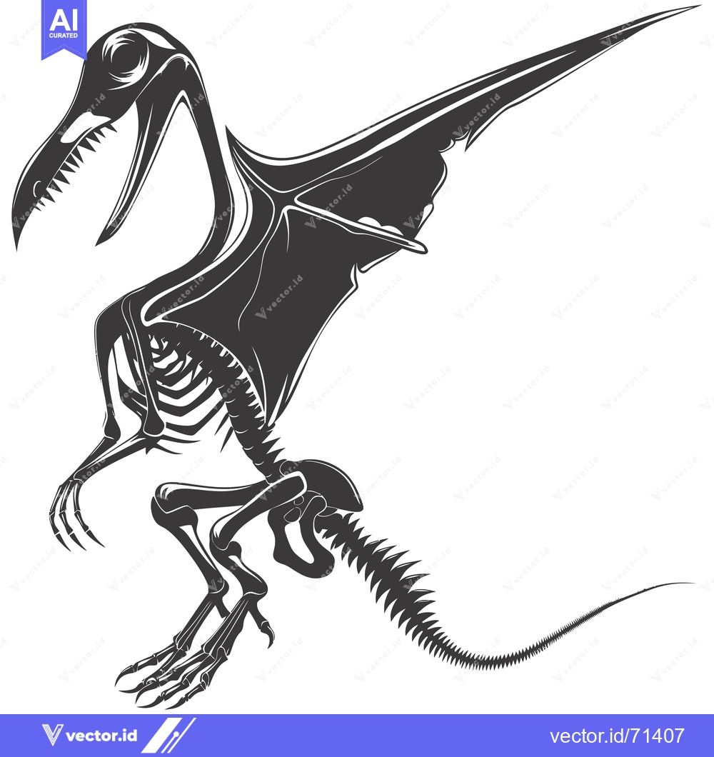 Premium Vector dari Skeletal Illustration of a Prehistoric Flying Reptile