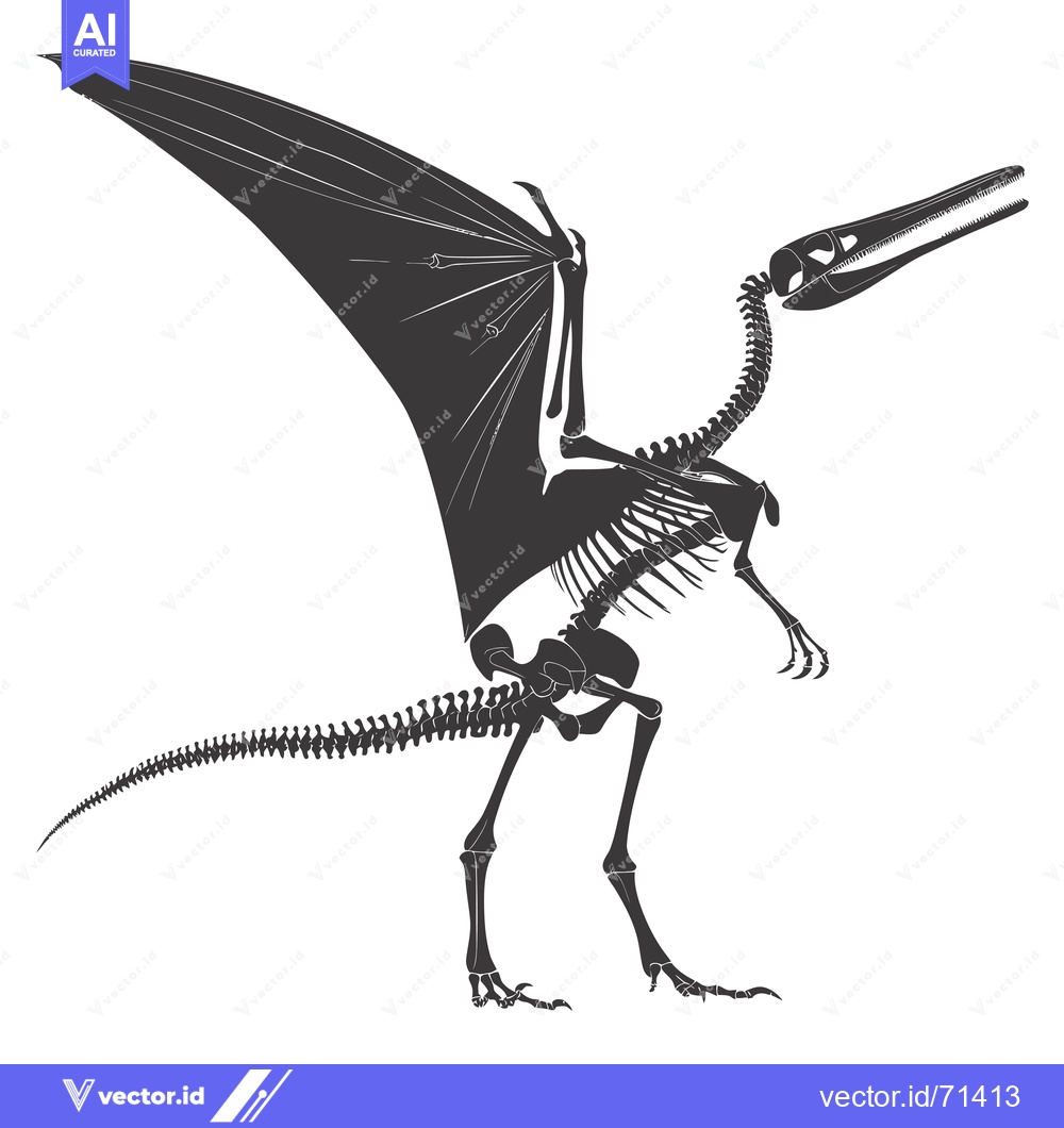 Premium Vector of Skeletal Illustration of a Pterosaur with Extended Wingspan